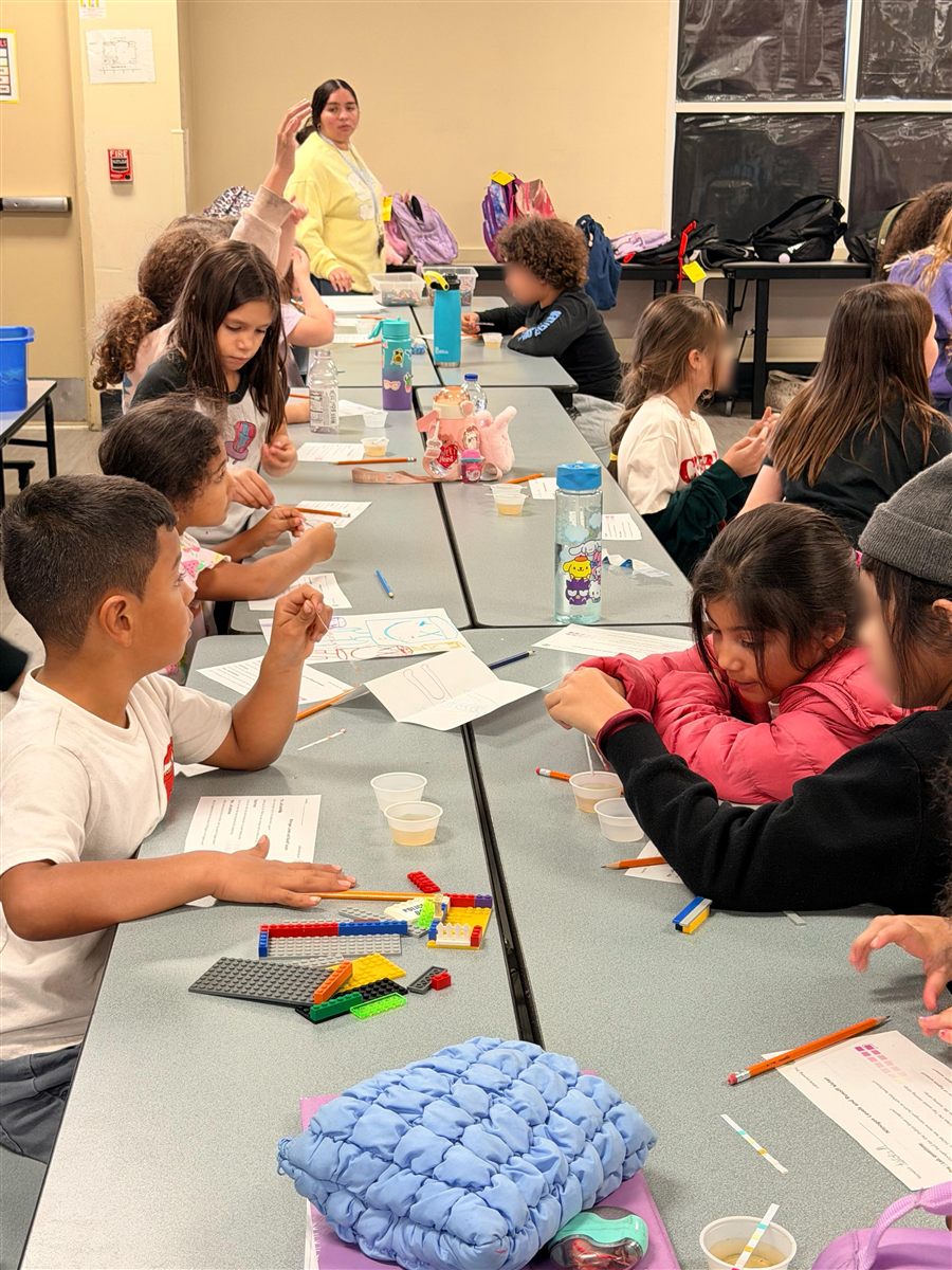 Students taking part in a hands-on lagoon education activity